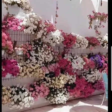 Duru Boutique Hotel Αλικαρνασσός