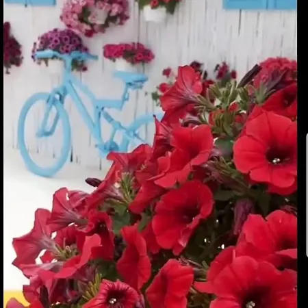 Ξενοδοχείο Duru Boutique Hotel Αλικαρνασσός