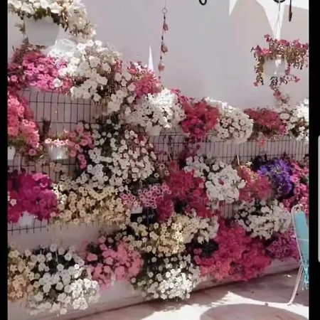 Duru Boutique Hotel 호텔 *